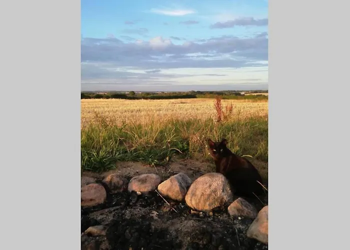 度假居 Big House In The Countryside Near Unesco 克里斯丁费德